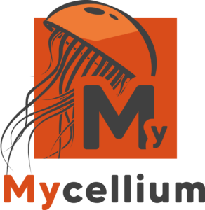 Mycellium