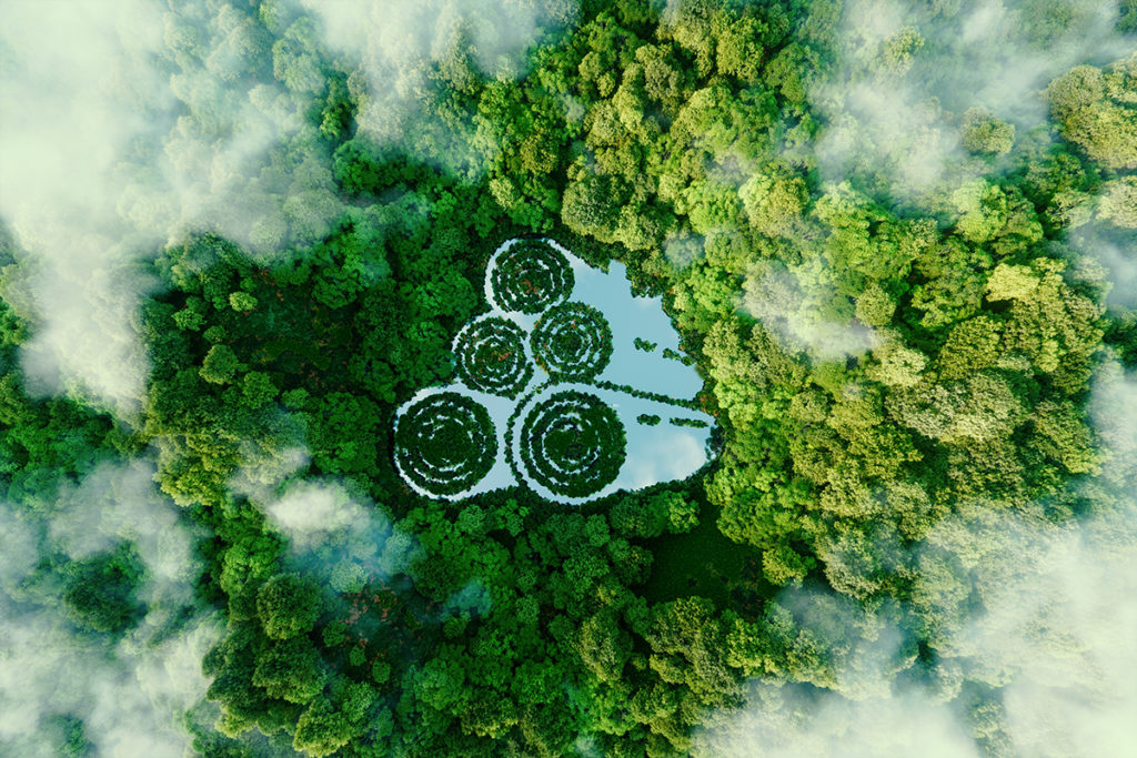 Quest for bioeconomy